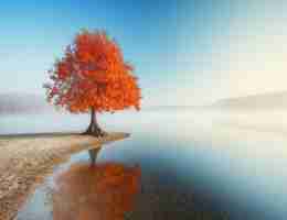 专​业​内​容‌缓﻿存﻿脚‍本​